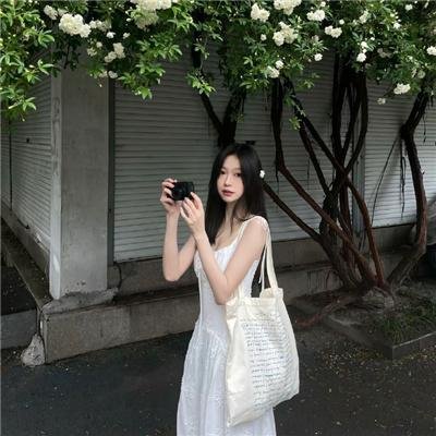 一只小蜘蛛